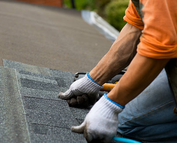 Best Roof Gutter Cleaning  in Tidmore Bend, AL