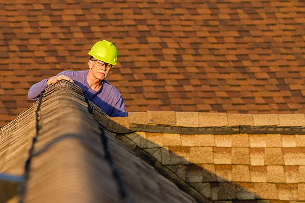 Best Storm Damage Roof Repair  in Tidmore Bend, AL