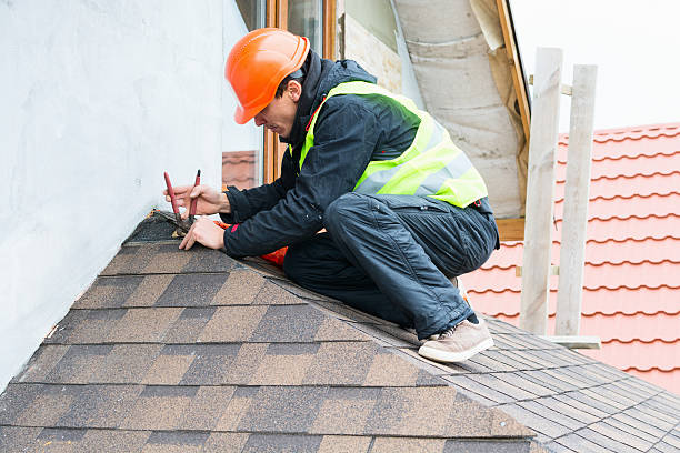 Best Roof Maintenance Services  in Tidmore Bend, AL